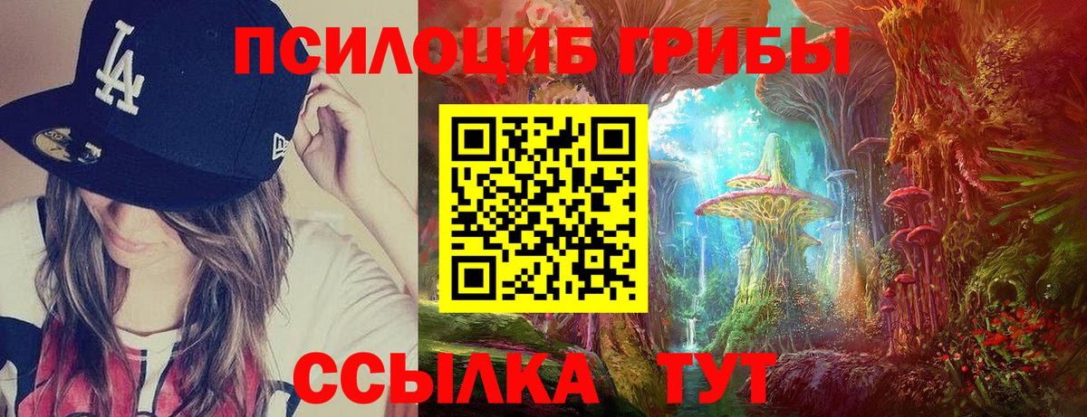 Галлюциногенные грибы Psilocybine cubensis  Псилоцибиновые грибы Magic Shrooms  Реж  Вход с VPN 